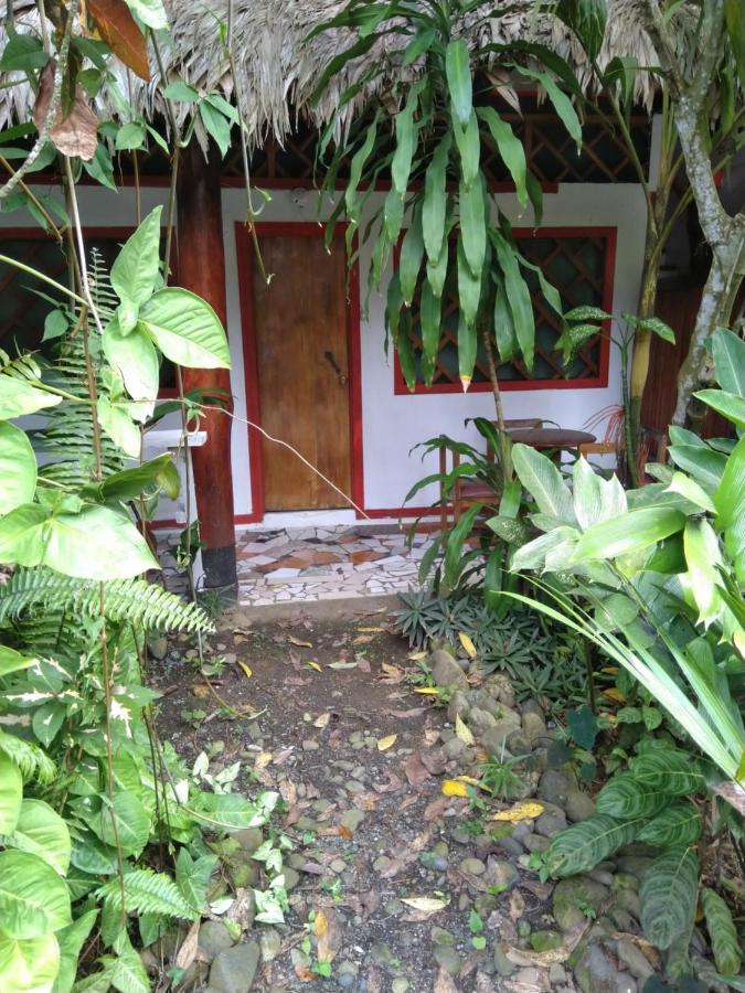 Cabinas Talamanca Sa Puerto Viejo de Talamanca Exterior foto